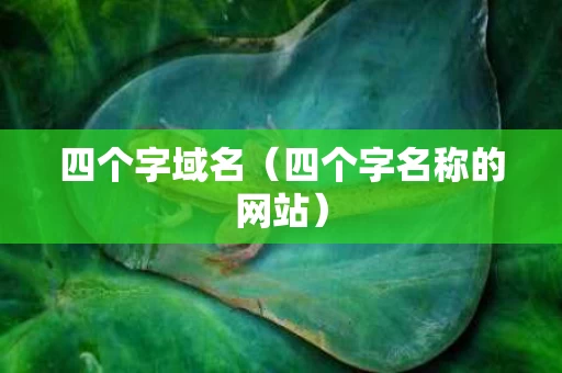 四个字域名（四个字名称的网站）