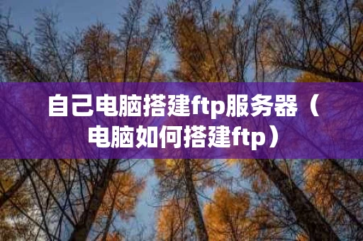 自己电脑搭建ftp服务器（电脑如何搭建ftp）