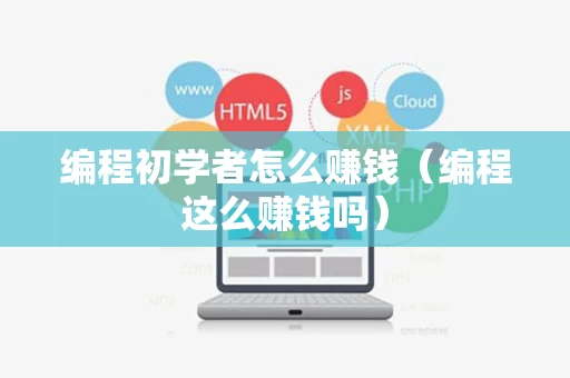 编程初学者怎么赚钱（编程这么赚钱吗）