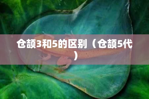 仓颉3和5的区别（仓颉5代）
