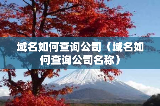 域名如何查询公司（域名如何查询公司名称）