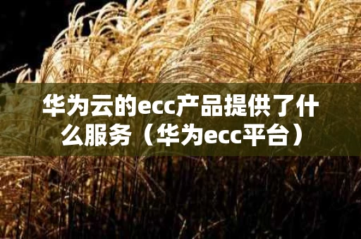 华为云的ecc产品提供了什么服务（华为ecc平台）