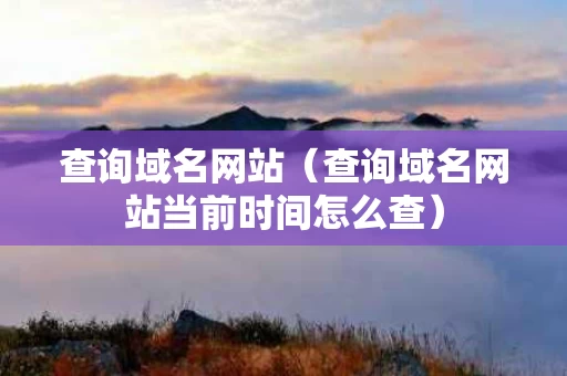 查询域名网站（查询域名网站当前时间怎么查）