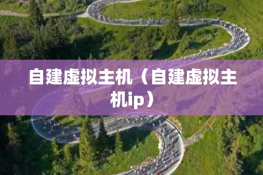 自建虚拟主机（自建虚拟主机ip）