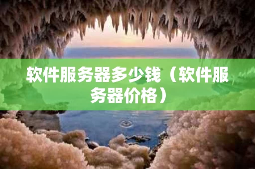 软件服务器多少钱（软件服务器价格）