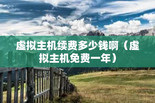 虚拟主机续费多少钱啊（虚拟主机免费一年）