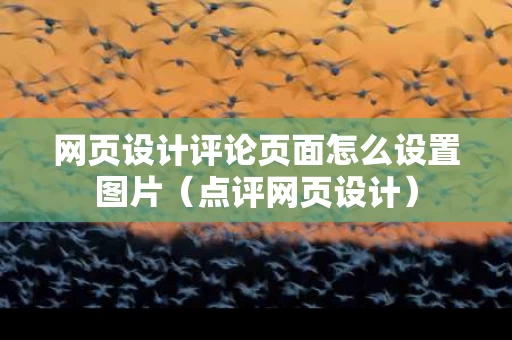 网页设计评论页面怎么设置图片（点评网页设计）