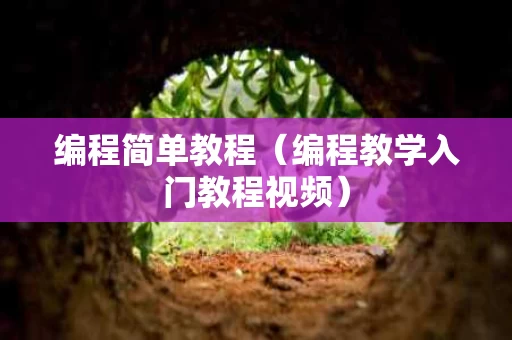 编程简单教程（编程教学入门教程视频）