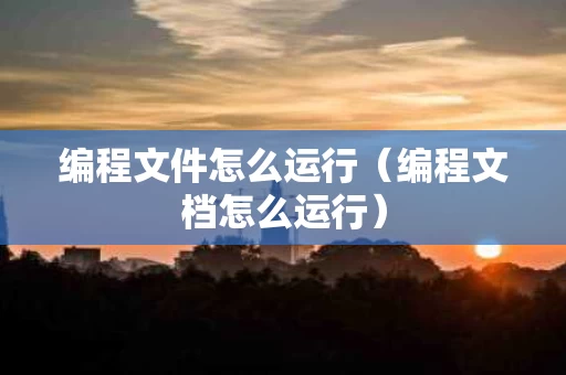 编程文件怎么运行（编程文档怎么运行）
