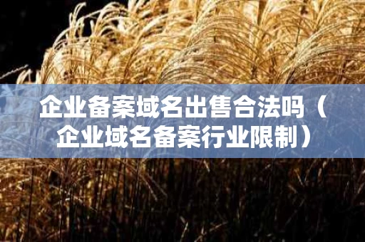 企业备案域名出售合法吗（企业域名备案行业限制）