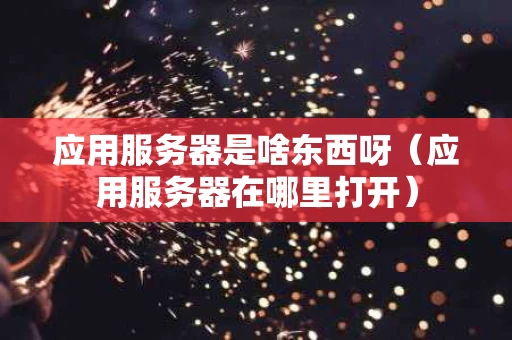 应用服务器是啥东西呀（应用服务器在哪里打开）