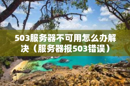 503服务器不可用怎么办解决（服务器报503错误）