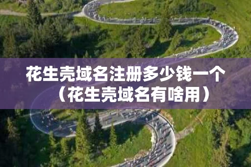 花生壳域名注册多少钱一个（花生壳域名有啥用）
