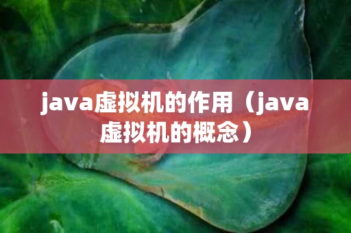 java虚拟机的作用（java虚拟机的概念）