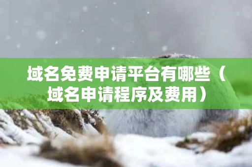 域名免费申请平台有哪些（域名申请程序及费用）