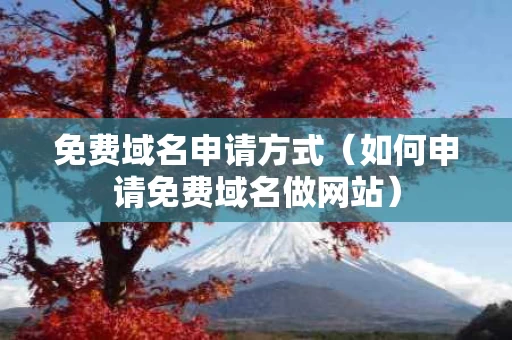 免费域名申请方式（如何申请免费域名做网站）