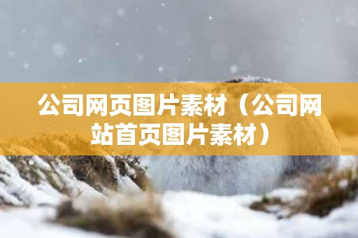 公司网页图片素材（公司网站首页图片素材）
