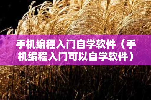 手机编程入门自学软件（手机编程入门可以自学软件）
