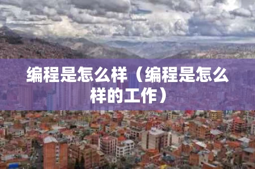 编程是怎么样（编程是怎么样的工作）