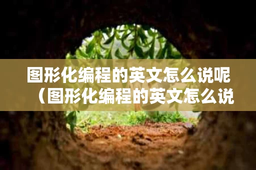 图形化编程的英文怎么说呢（图形化编程的英文怎么说呢怎么写）