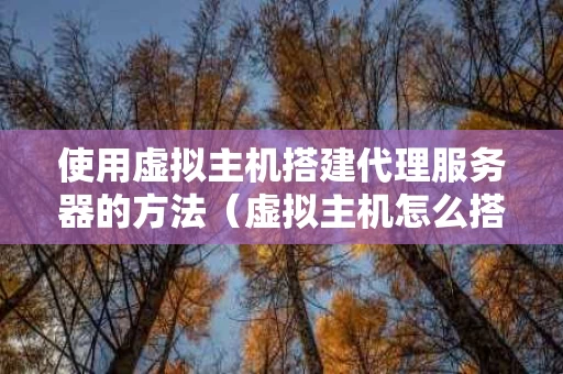 使用虚拟主机搭建代理服务器的方法（虚拟主机怎么搭建服务器）