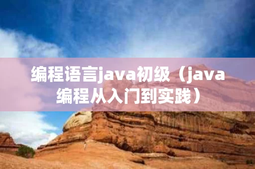 编程语言java初级（java编程从入门到实践）
