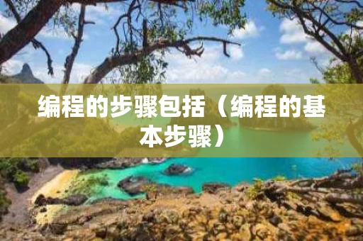 编程的步骤包括（编程的基本步骤）