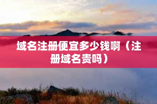 域名注册便宜多少钱啊（注册域名贵吗）