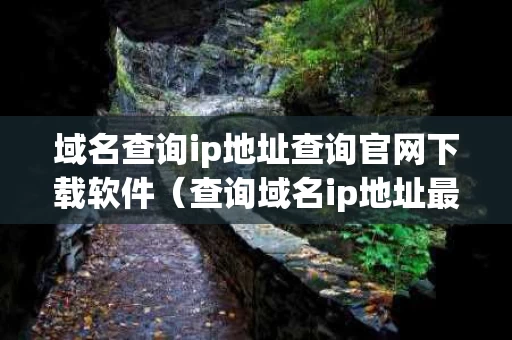 域名查询ip地址查询官网下载软件（查询域名ip地址最新）