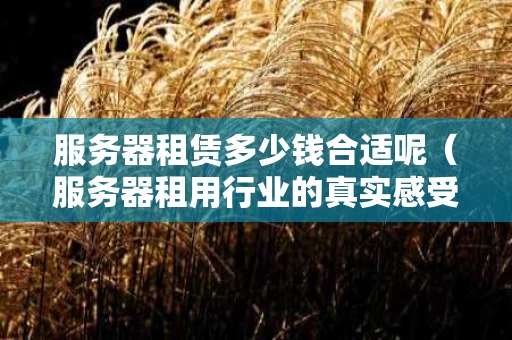 服务器租赁多少钱合适呢（服务器租用行业的真实感受）