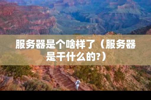 服务器是个啥样了（服务器是干什么的?）