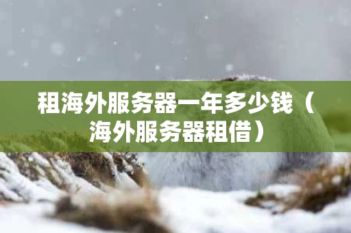 租海外服务器一年多少钱（海外服务器租借）