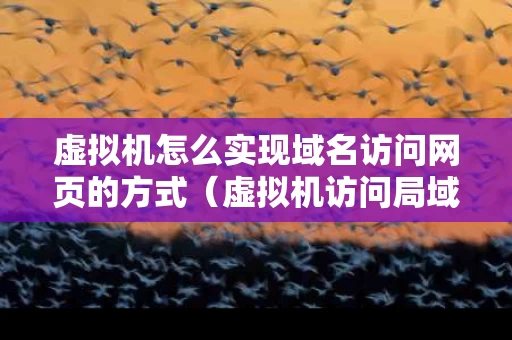 虚拟机怎么实现域名访问网页的方式（虚拟机访问局域网）