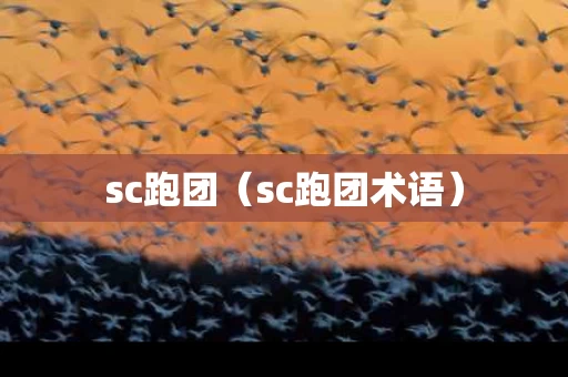sc跑团（sc跑团术语）