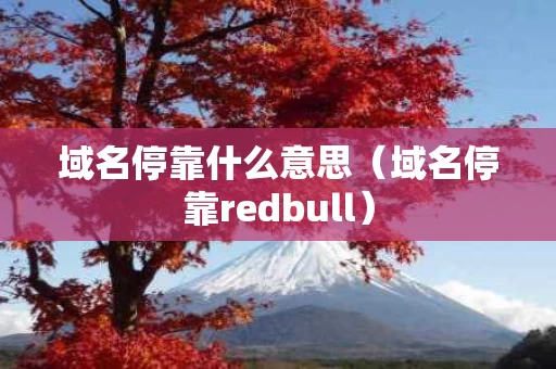 域名停靠什么意思（域名停靠redbull）