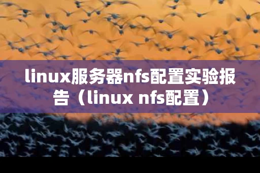 linux服务器nfs配置实验报告（linux nfs配置）