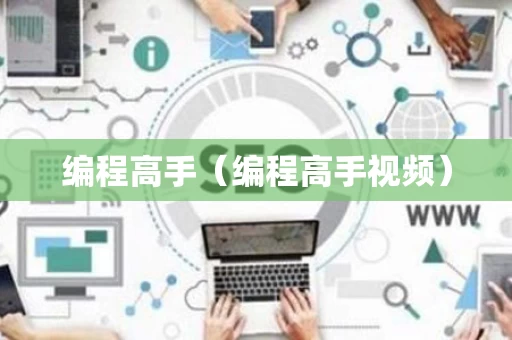 编程高手（编程高手视频）