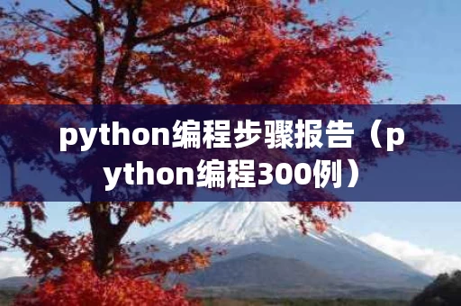 python编程步骤报告（python编程300例）