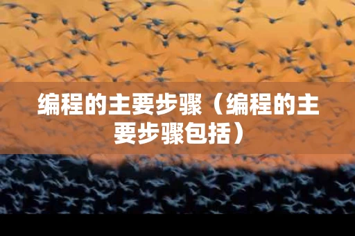 编程的主要步骤（编程的主要步骤包括）