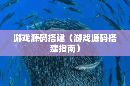 游戏源码搭建（游戏源码搭建指南）