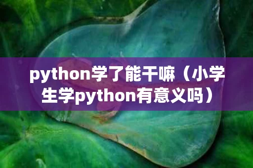 python学了能干嘛（小学生学python有意义吗）