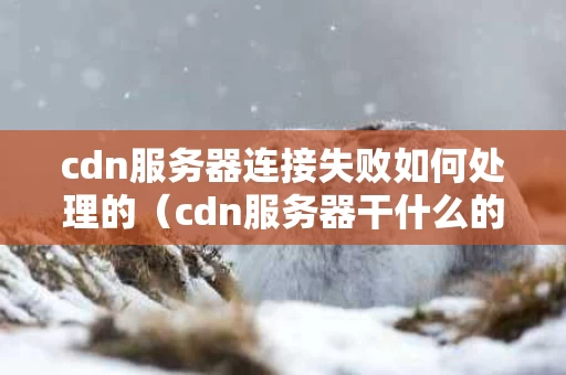 cdn服务器连接失败如何处理的（cdn服务器干什么的）