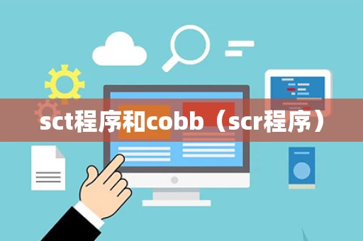 sct程序和cobb（scr程序）