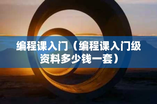 编程课入门（编程课入门级资料多少钱一套）