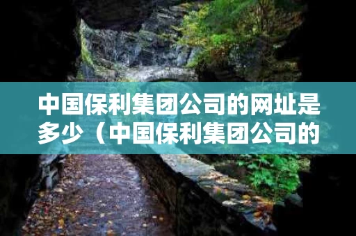 中国保利集团公司的网址是多少（中国保利集团公司的网址是多少啊）
