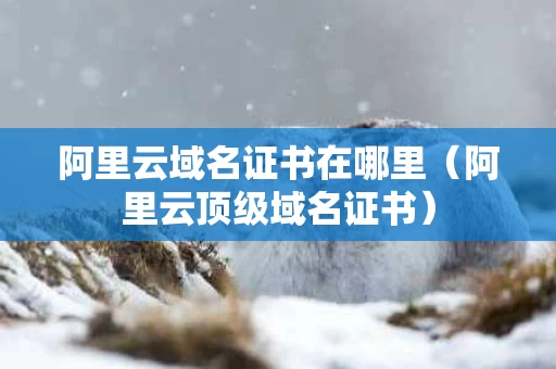 阿里云域名证书在哪里（阿里云顶级域名证书）