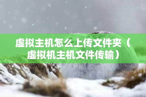 虚拟主机怎么上传文件夹（虚拟机主机文件传输）