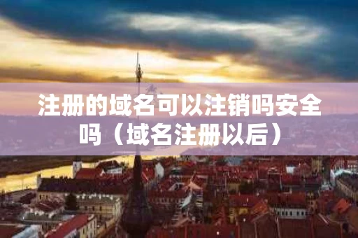 注册的域名可以注销吗安全吗（域名注册以后）