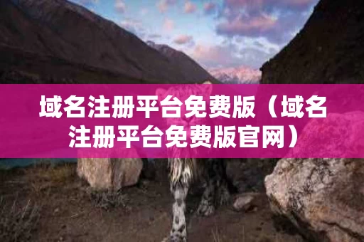 域名注册平台免费版（域名注册平台免费版官网）