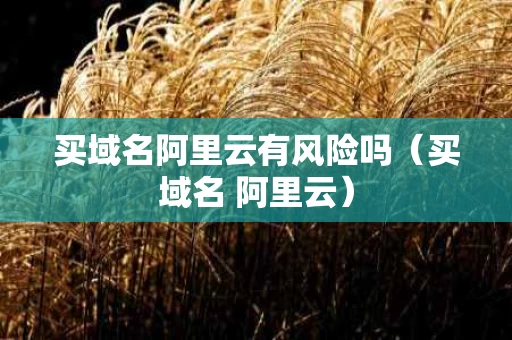 买域名阿里云有风险吗（买域名 阿里云）